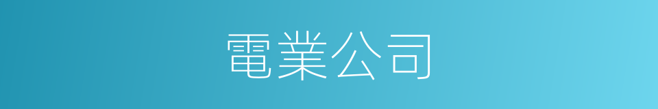 電業公司的同義詞