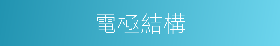 電極結構的同義詞