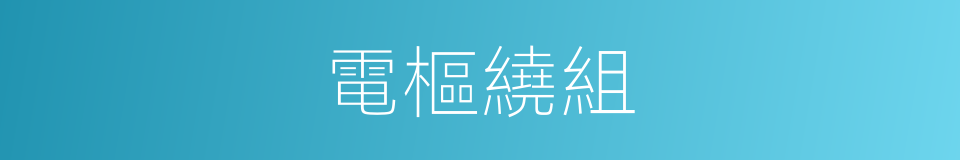 電樞繞組的意思