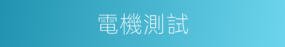 電機測試的同義詞