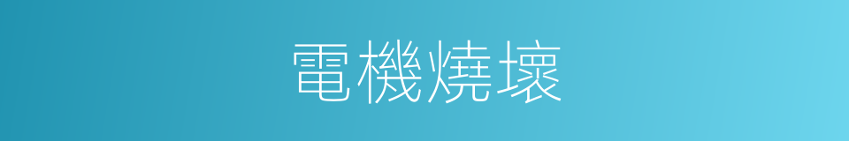 電機燒壞的同義詞