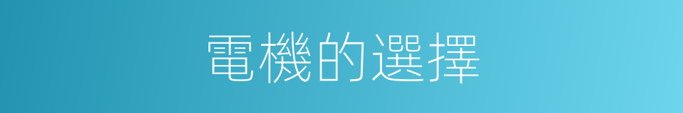 電機的選擇的同義詞
