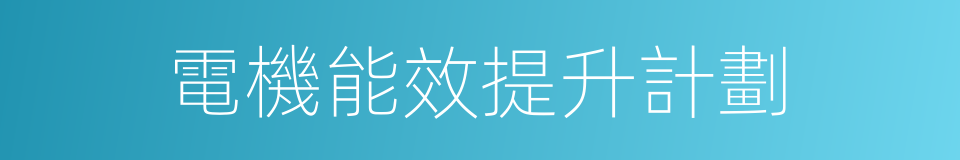 電機能效提升計劃的同義詞