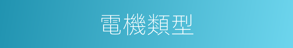電機類型的同義詞