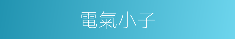 電氣小子的同義詞