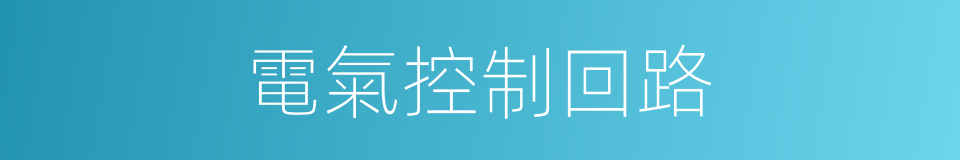 電氣控制回路的同義詞