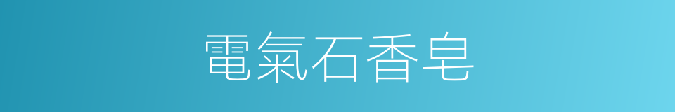 電氣石香皂的同義詞