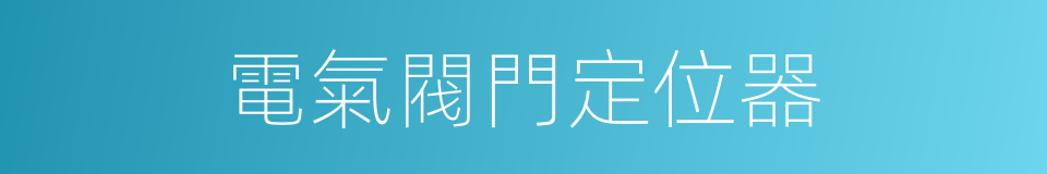 電氣閥門定位器的同義詞