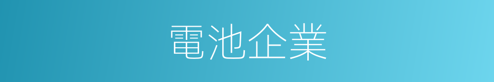 電池企業的同義詞