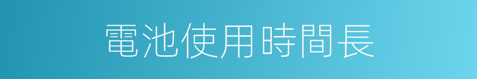 電池使用時間長的同義詞