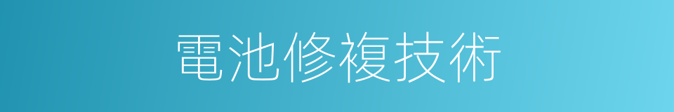 電池修複技術的同義詞
