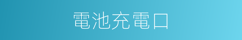 電池充電口的同義詞