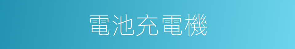 電池充電機的同義詞