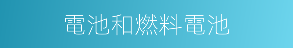 電池和燃料電池的同義詞