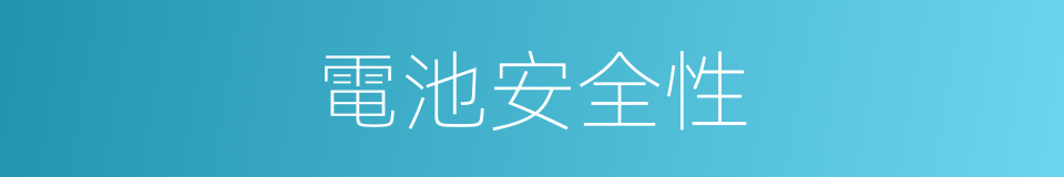 電池安全性的同義詞