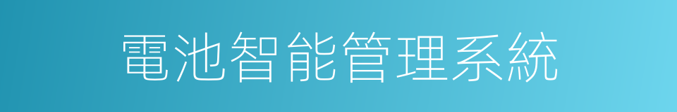 電池智能管理系統的同義詞