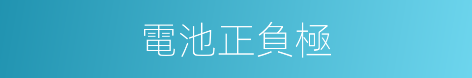 電池正負極的同義詞