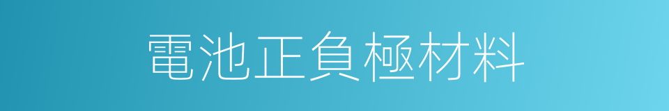 電池正負極材料的同義詞