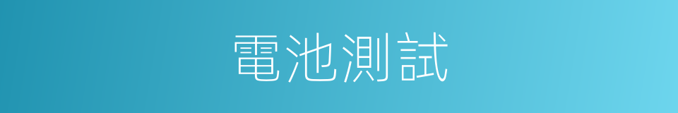 電池測試的同義詞