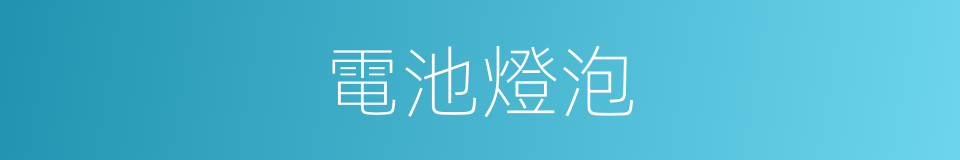 電池燈泡的同義詞