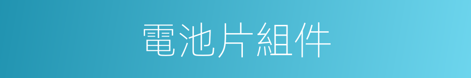 電池片組件的同義詞