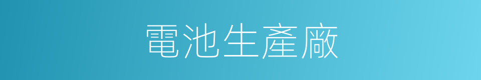 電池生產廠的同義詞