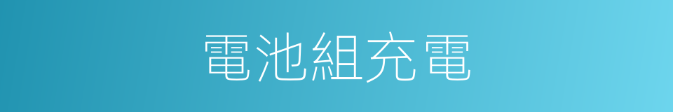 電池組充電的同義詞