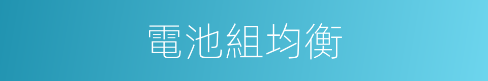 電池組均衡的同義詞