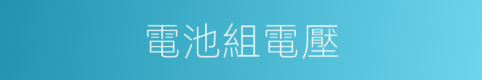 電池組電壓的同義詞