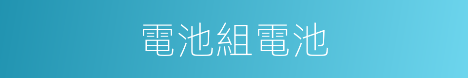 電池組電池的同義詞