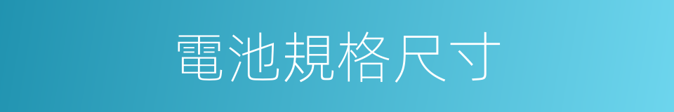 電池規格尺寸的同義詞