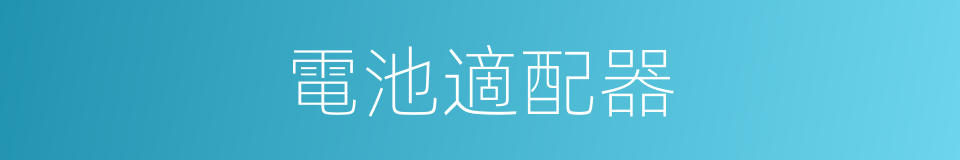 電池適配器的同義詞