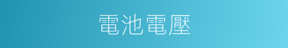 電池電壓的同義詞
