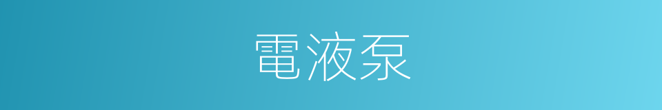 電液泵的同義詞