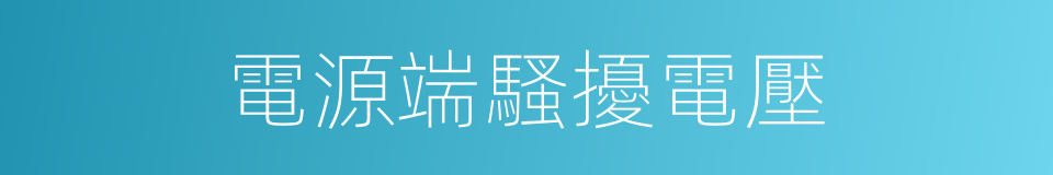 電源端騷擾電壓的同義詞