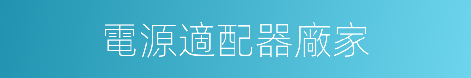 電源適配器廠家的同義詞