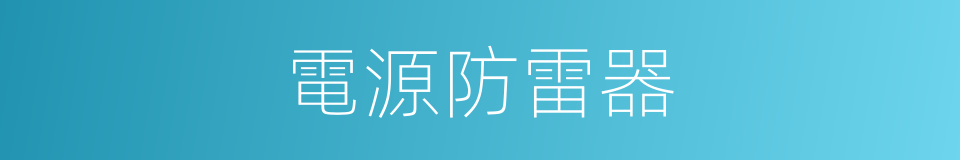 電源防雷器的同義詞