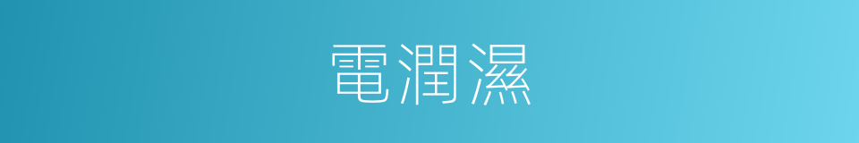 電潤濕的同義詞