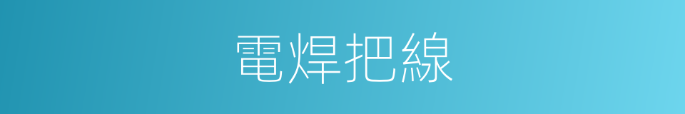 電焊把線的同義詞