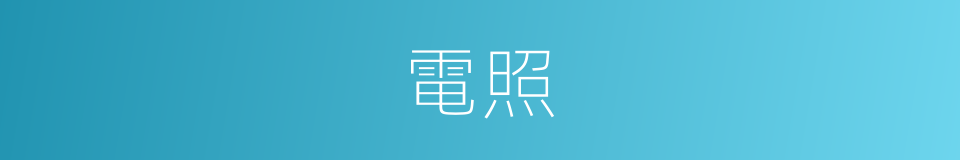 電照的意思