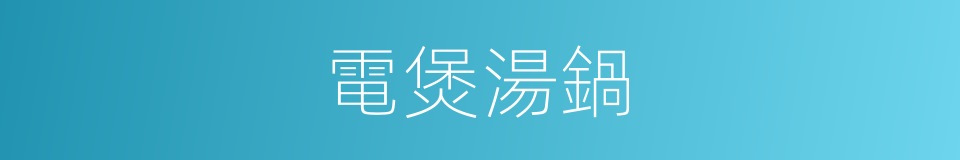 電煲湯鍋的同義詞