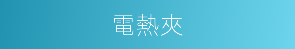 電熱夾的同義詞