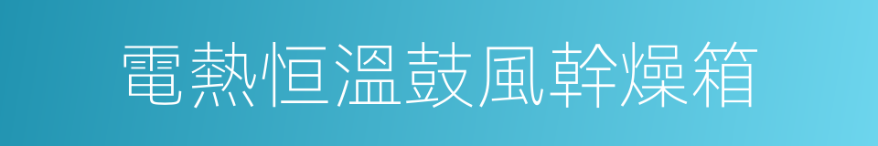 電熱恒溫鼓風幹燥箱的同義詞