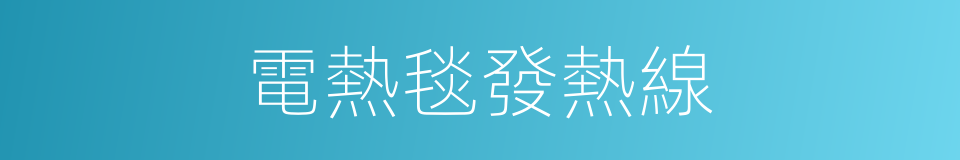 電熱毯發熱線的同義詞
