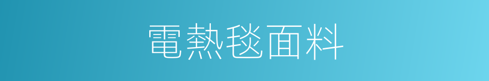 電熱毯面料的同義詞