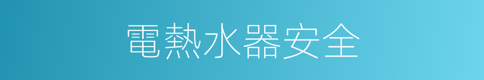 電熱水器安全的同義詞