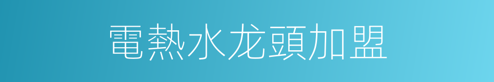 電熱水龙頭加盟的同義詞