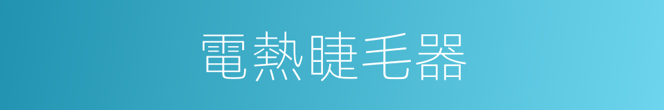 電熱睫毛器的同義詞