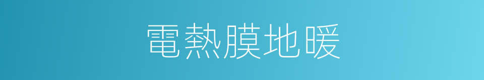電熱膜地暖的同義詞