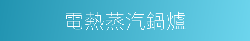 電熱蒸汽鍋爐的同義詞